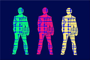 爱游戏电脑版官网-高校体育专业人才培养质量保障体系，体育人才培养方案心得体会